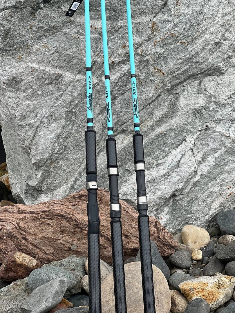 Lamiglas FRESHWATER LX 96 HCGHT - X11 Teal 9"6" 15-30 1-8oz (Salmon Rod) 4 Lamiglas FRESHWATER LX 96 HCGHT - X11 Teal 9"6" 15-30 1-8oz (Salmon Rod)