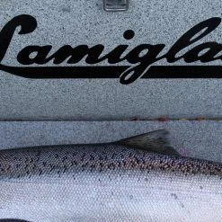 Lamiglas Logo Vinyl Decal