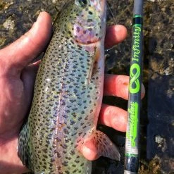 Lamiglas IF702UL | Infinity Ultra-Light 7'0" Spin (Trout & Panfish)