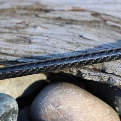 Lamiglas NightShift Surf Blank | NS1202M | 10' 3/4-4 Oz. Blanks 8 Lamiglas NightShift Surf Blank | NS1202M | 10' 3/4-4 Oz. Blanks