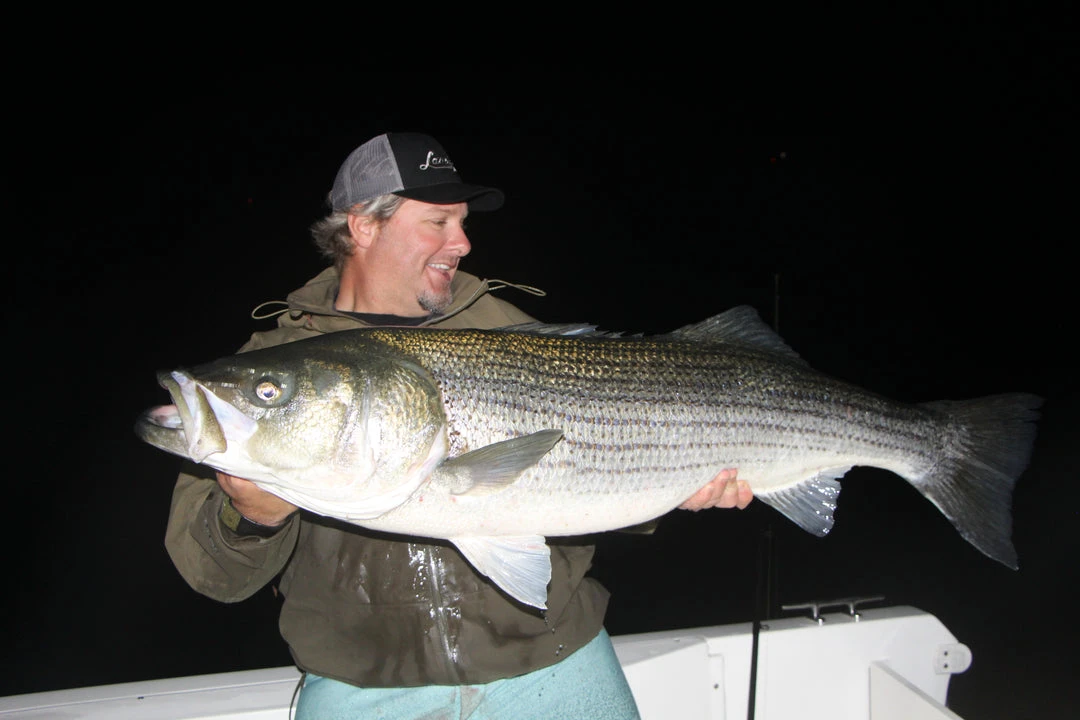 Lamiglas TriFlex V2 | TFXV7040C 7' 15-40 Lb Conventional 7 Lamiglas TriFlex V2 | TFXV7040C 7' 15-40 Lb Conventional