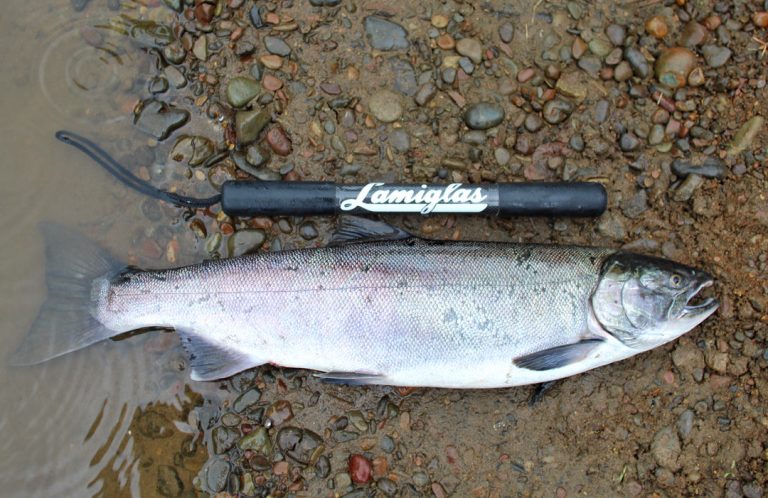 Lamiglas shop online -Lamiglas shop online FishBonker 1080x1080 768x498 1